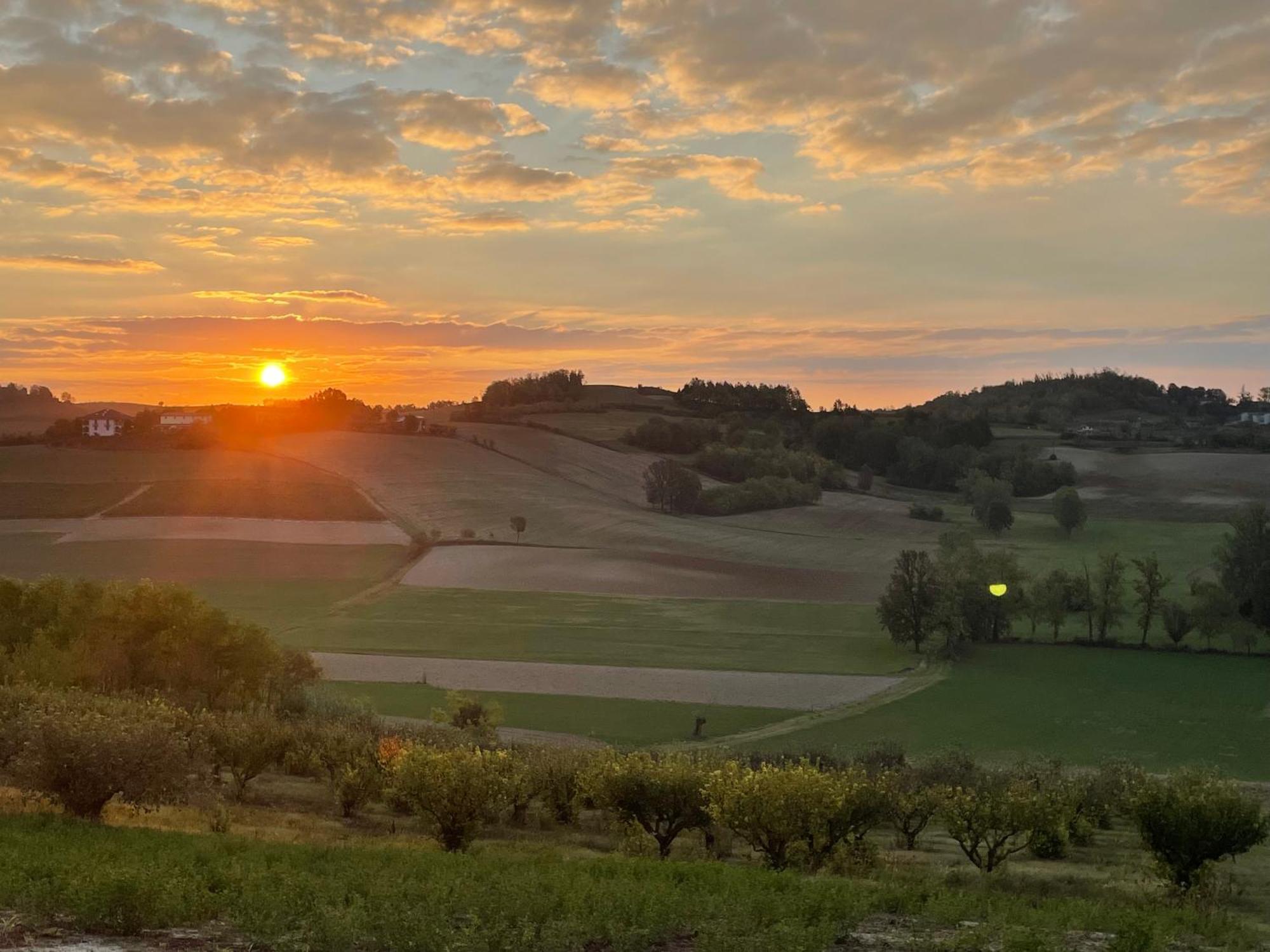 Azienda Agricola Tenuta Del Barone Calliano  Eksteriør bilde